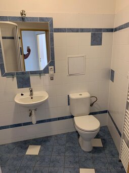 Pronájem bytu 1+kk, 30 m² – Brno-Husovice, ul. Dačického - 5