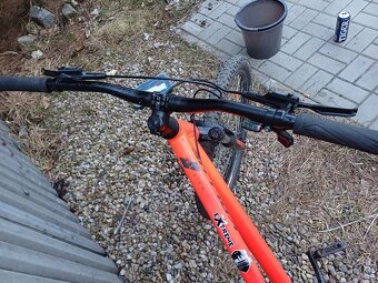 Kellys whip 10 - 5