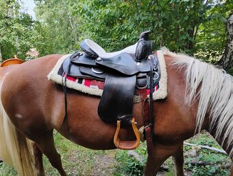 Western na široké koně - 5