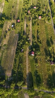 Strážnice - Pozemek s chatou a vinicí, krásné výhledy - 5