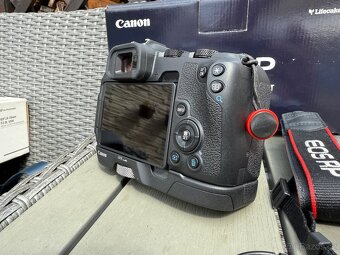 Canon eos RP + CANON EF 100 mm f/2,8 MACRO USM + Canon EF 24 - 5