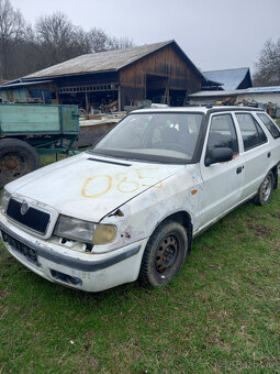 Felicie 1.3 mpi - 5