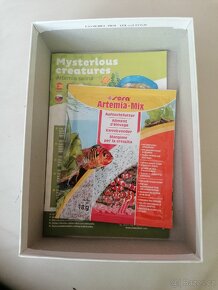 Hra Tajemní tvorové mořští raci - 5