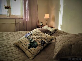 Prodej horského apartmánu, 2+kk, 32 m², Karlovice - 5