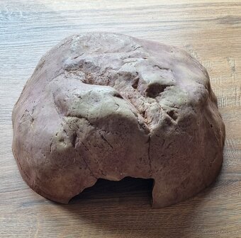 Terarijni věci k chovu - 5