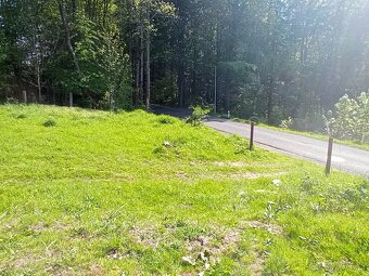 Pronájem pozemků. - 5