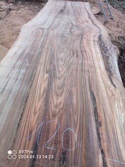 MEGA velké desky Jilm a Jasan - 5