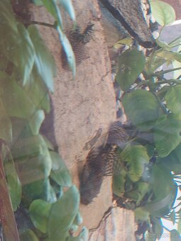 Akvárium s technikou - 5