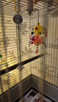 Klec pro papouška - 5