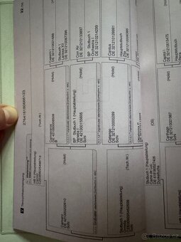 Na predaj mladá kobyla – 2,5 roka - 5