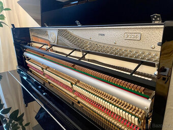W.Hoffmann Model P126 Piano Mint (2019) Černá, Stříbrné apli - 5