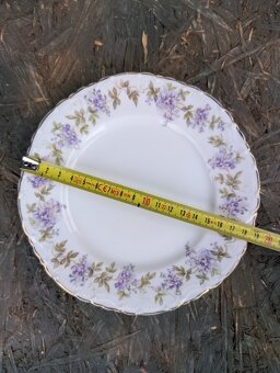 2 ks starožitné talířky. J.Kratschmer, OLMÜTZ. - 5