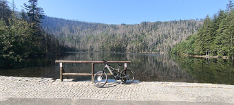 Elektrokolo Focus Jam2 6.7 - 5