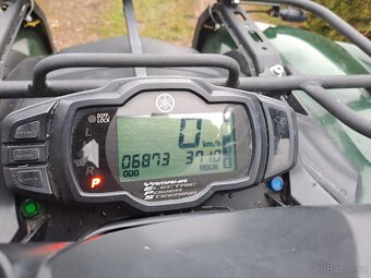 YAMAHA GRIZZLY 700 4x4 + RADLICE - 5