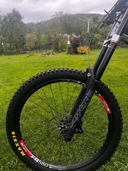 Kellys noid 70 - 5
