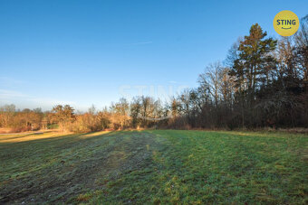 Prodej chaty a pozemku Topol, 134079 - 5