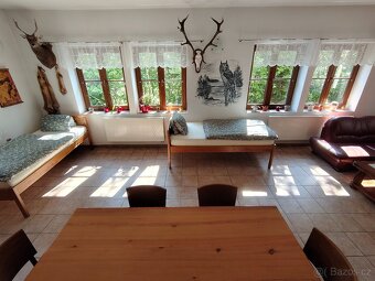 Apartmány s bazénem Jižní Čechy, klidná poloha u lesa. - 5