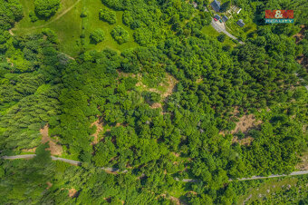 Prodej lesa, 6085 m², Tanvald - 5