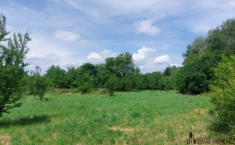 Prodej zahradních pozemků, celkem 5 961 m² , Rajhrad - 5