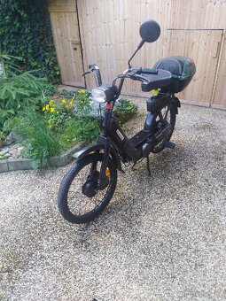 Piaggio ciao - 5