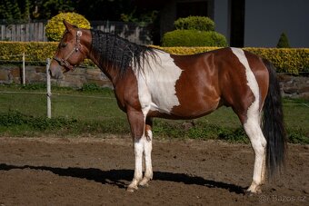 Valach APH po Skips Diablo Bar - 5