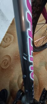 Kolo Author cosmic - 5