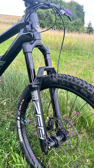 Canyon Torque - 5