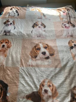Deka beagle - 5