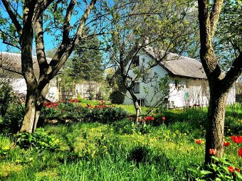 Prodej RD - chalupy 150 m2, pozemek 558 m2, Sovenice - 5