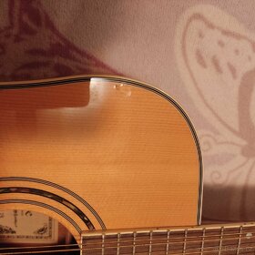 Kytara dvanáctistrunná Fade - 5