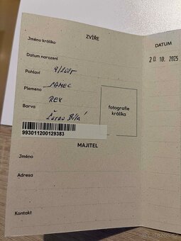 Prodám zakrslého Králíčka - 5
