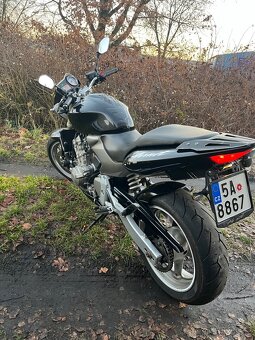 Honda hornet 600 2005 - 5