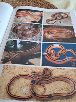 Odborná kniha pro chovatele hadů - 5