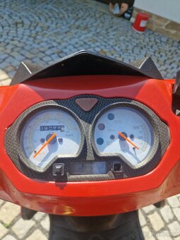 Motorro Polly 50 2T - 5