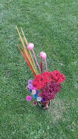 Barvená sušina - 5