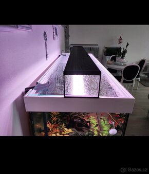 Eheim Vivaline 240L komplet akvárium s technikou a životem. - 5