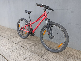 Specialized Hotrock 24" - 5