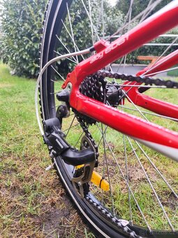 Dětské kolo Amulet - 5