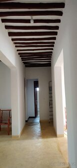 Dům na Zanzibaru - 5