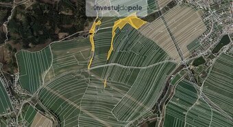 Prodej lesních pozemků v k.ú. Golčův Jeníkov - 5