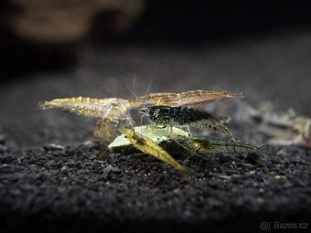 Akvárium / Akvárko / aquarium 112l a stojan - 5