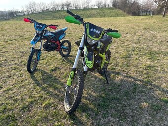 Pitbike Apollo RFZ VIPER 125cm3 19/16" - 5