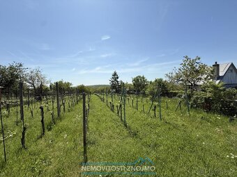 Prodej zahrady 876m2, voda i elektřina, k.ú. Dobšice u Znojm - 5
