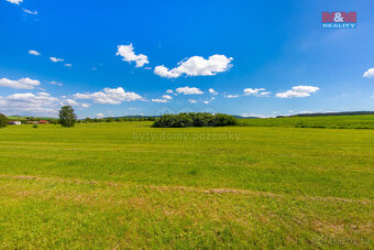 Prodej louky, 2373 m², Blížejov - 5