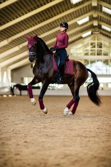 Podsedlova decka Equestrian Stockholm New Maroon DL - 5