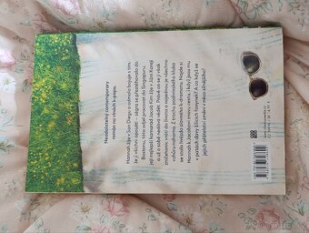 Romantické knihy pro mládež - 5