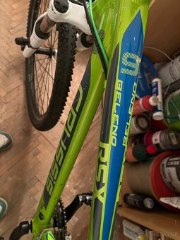 KOLO CRUSSIS RSX 9 BELENO - 5