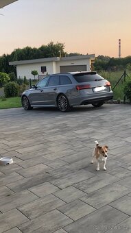Audi A6 3.0BITDI COMPETITION VYJÍMEČNÝ STAV - 5