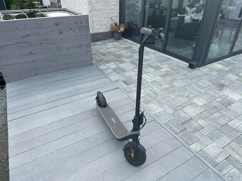 Ninebot KickScooter E2 E by Segway - 5