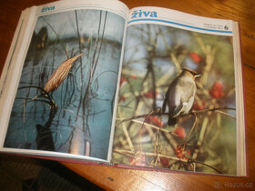 Myslivost ,svázaný ročník 1968 - 5